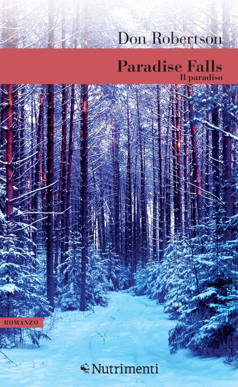 In copertina bosco di alti abeti azzurri nella neve