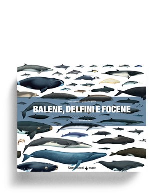 Balene Delfini E Focene Nutrimenti Casa Editrice