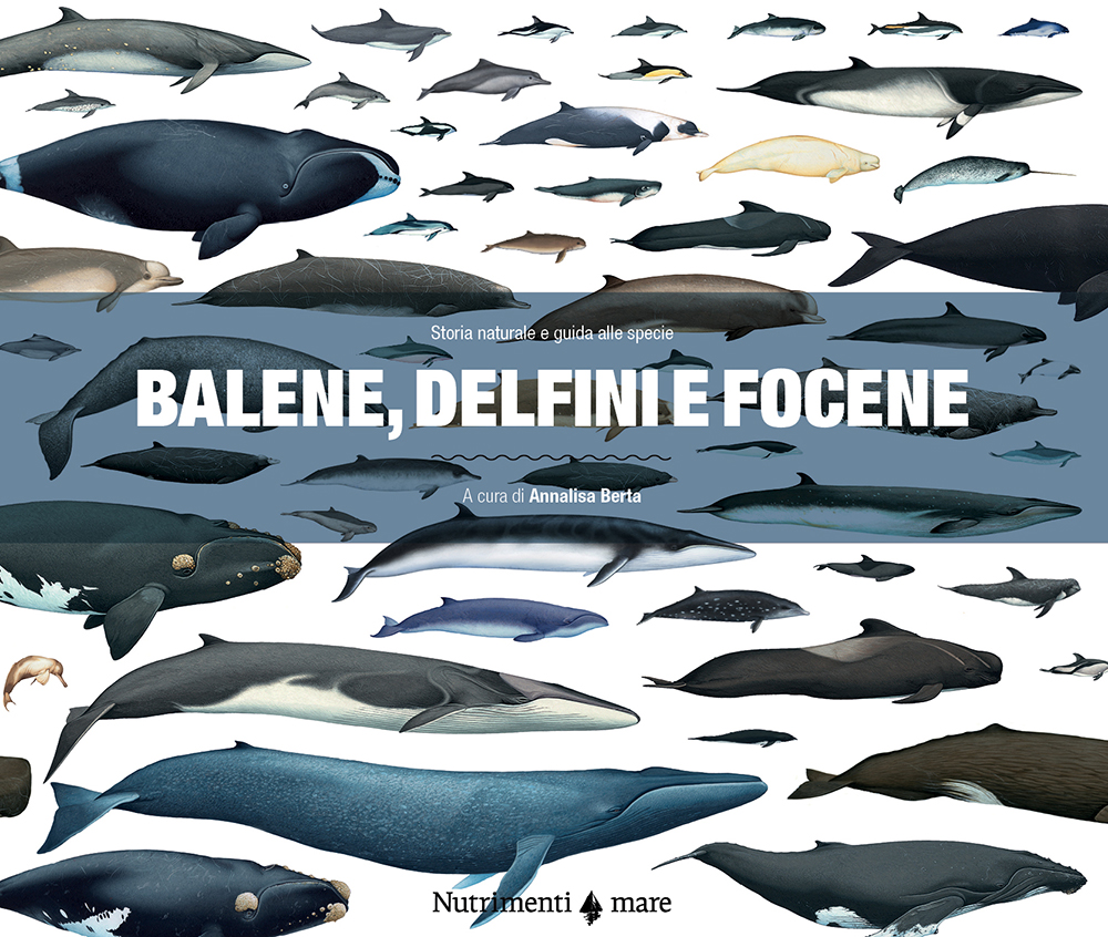 Pcop_Balene In copertina illustrazione che rappresenta luoghi e rotte descritte nel libro